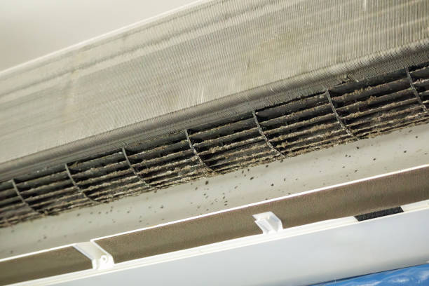 Best Affordable HVAC Duct Cleaning  in Cullowhee, NC